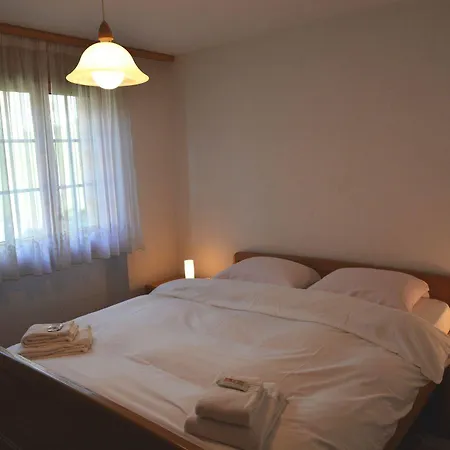 St. Louis 2.5 - Griwarent Ag