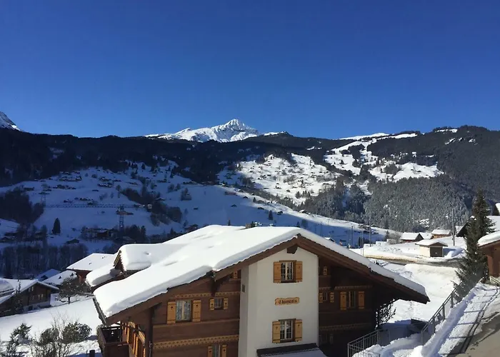 Apartment St. Louis 2.5 - Griwarent Ag Grindelwald