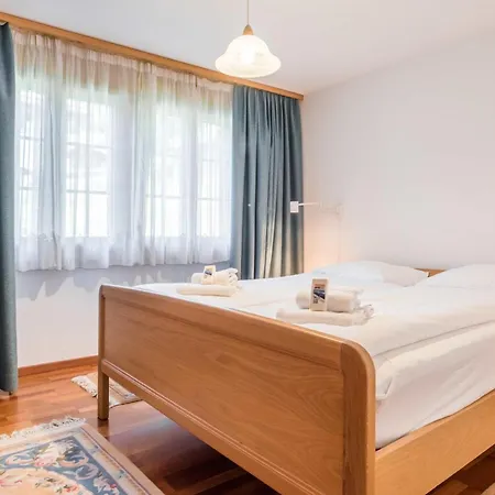 St. Louis 2.5 - Griwarent Ag Lejlighed Grindelwald