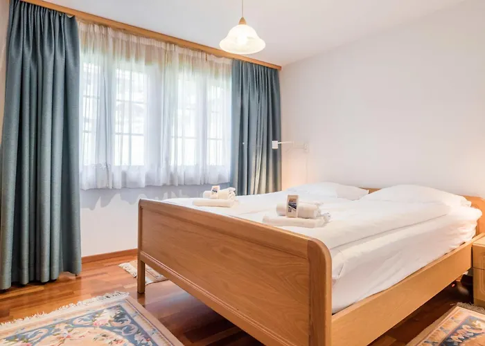 St. Louis 2.5 - Griwarent Ag Lejlighed Grindelwald